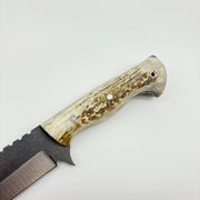 Özel Yapım Kamp & Bushcraft Bıçağı | Ceviz & Geyik Boynuzu Kabze